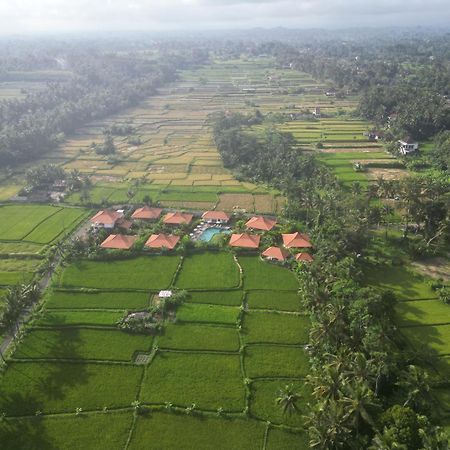 Kampung Uma Dawa Villas And Spa Ubud Zewnętrze zdjęcie