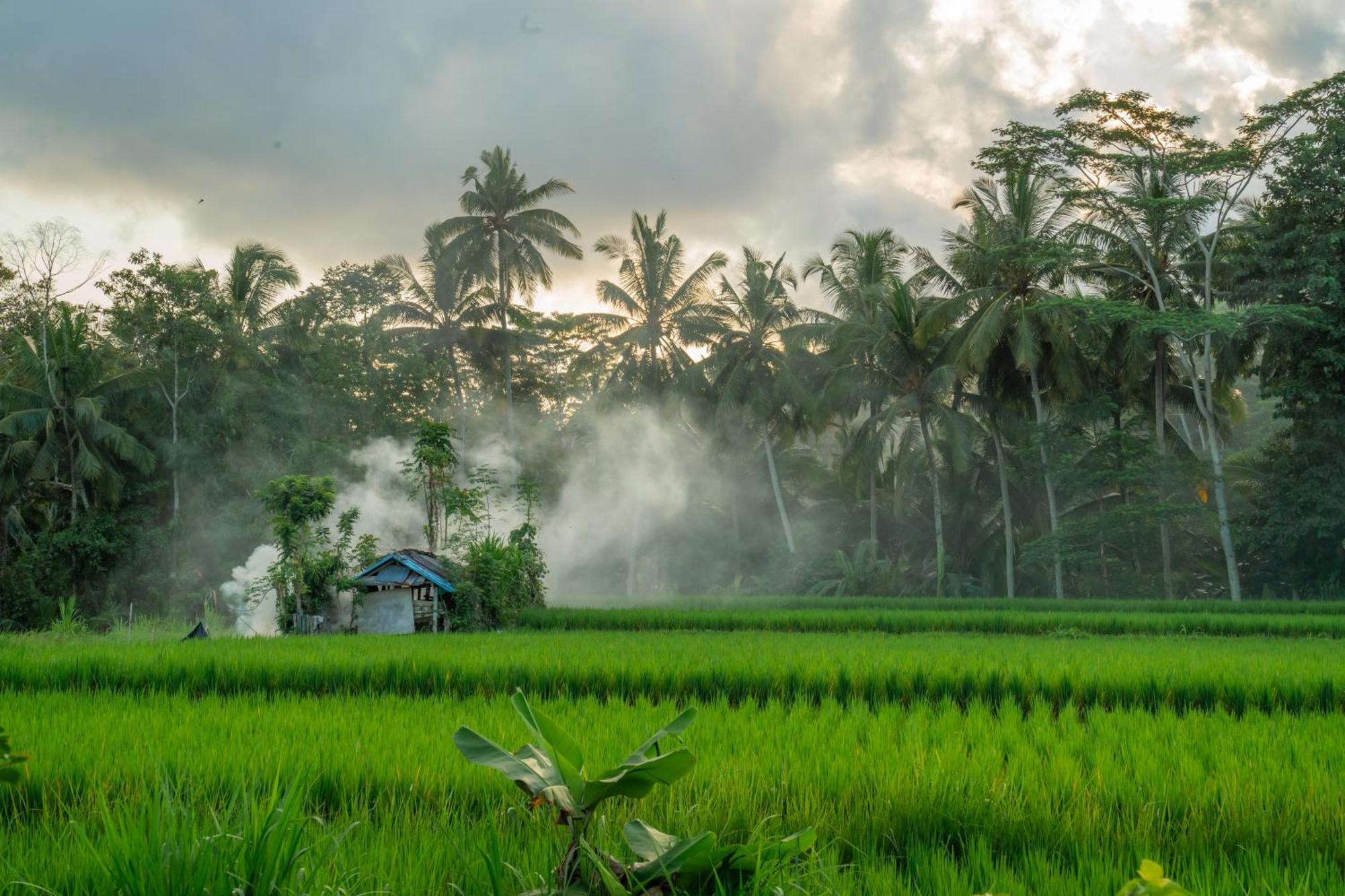 Kampung Uma Dawa Villas And Spa Ubud Zewnętrze zdjęcie