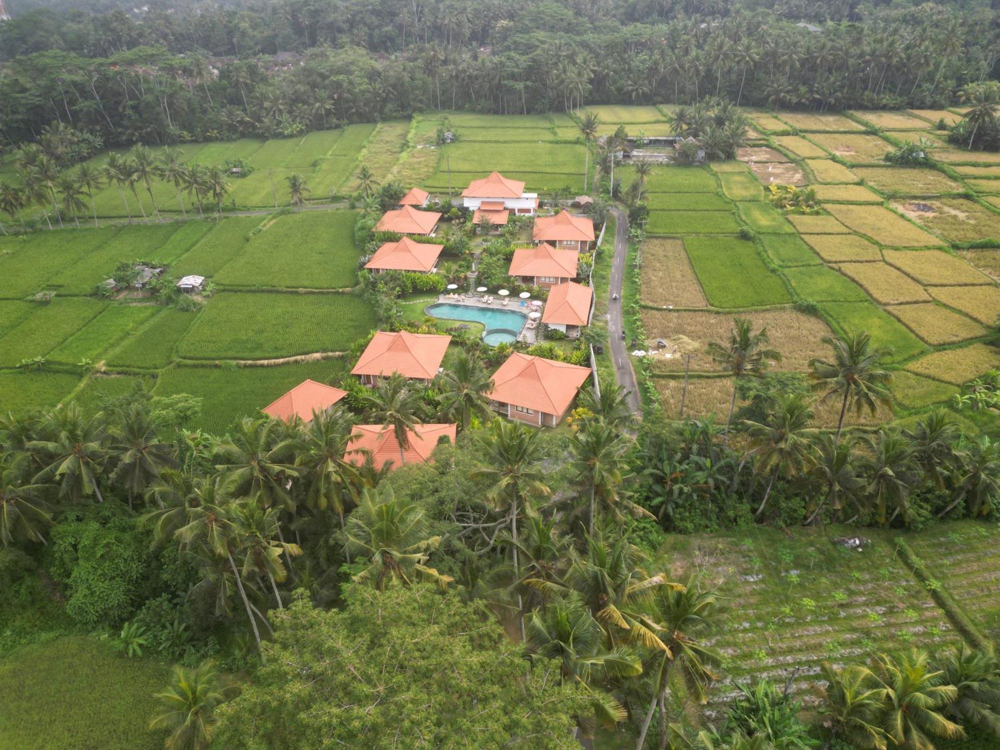 Kampung Uma Dawa Villas And Spa Ubud Zewnętrze zdjęcie